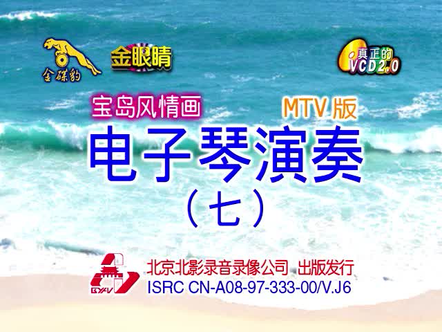 电子琴演奏（七）