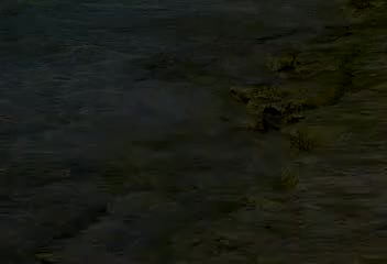 西沙我可爱的家乡