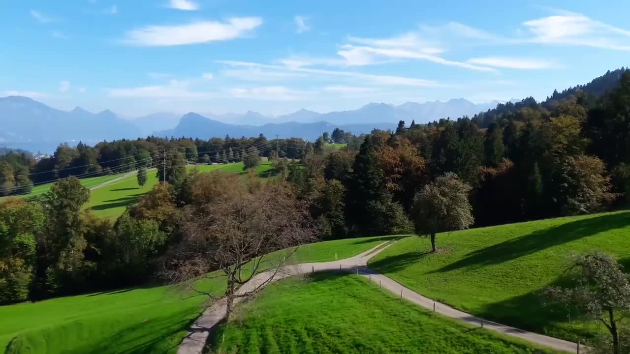 森林 树木 合集四 #4508