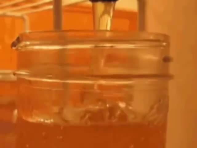 honey goo eating asmr