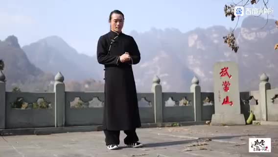 赠品：凌云道长谈易筋经