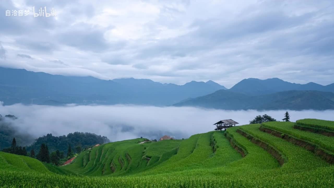 Michael Jackson_Blame It On The Boogie