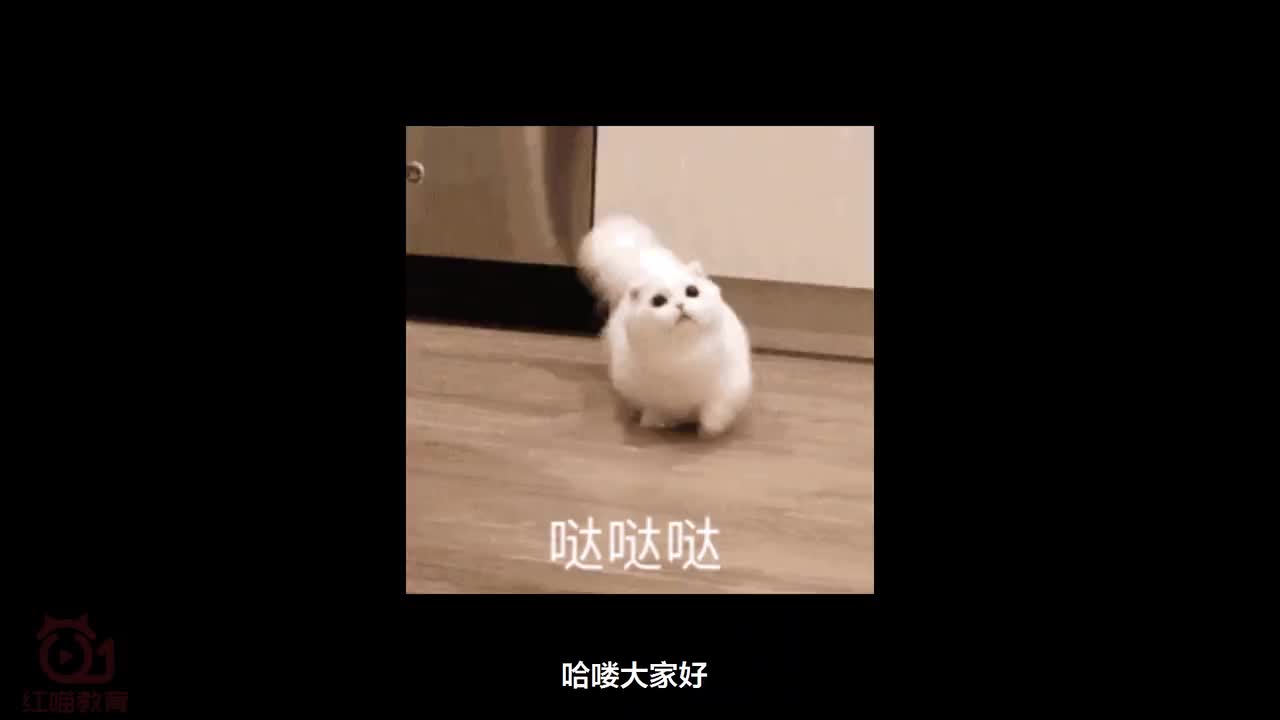 【Ai练习】文字翻页效果