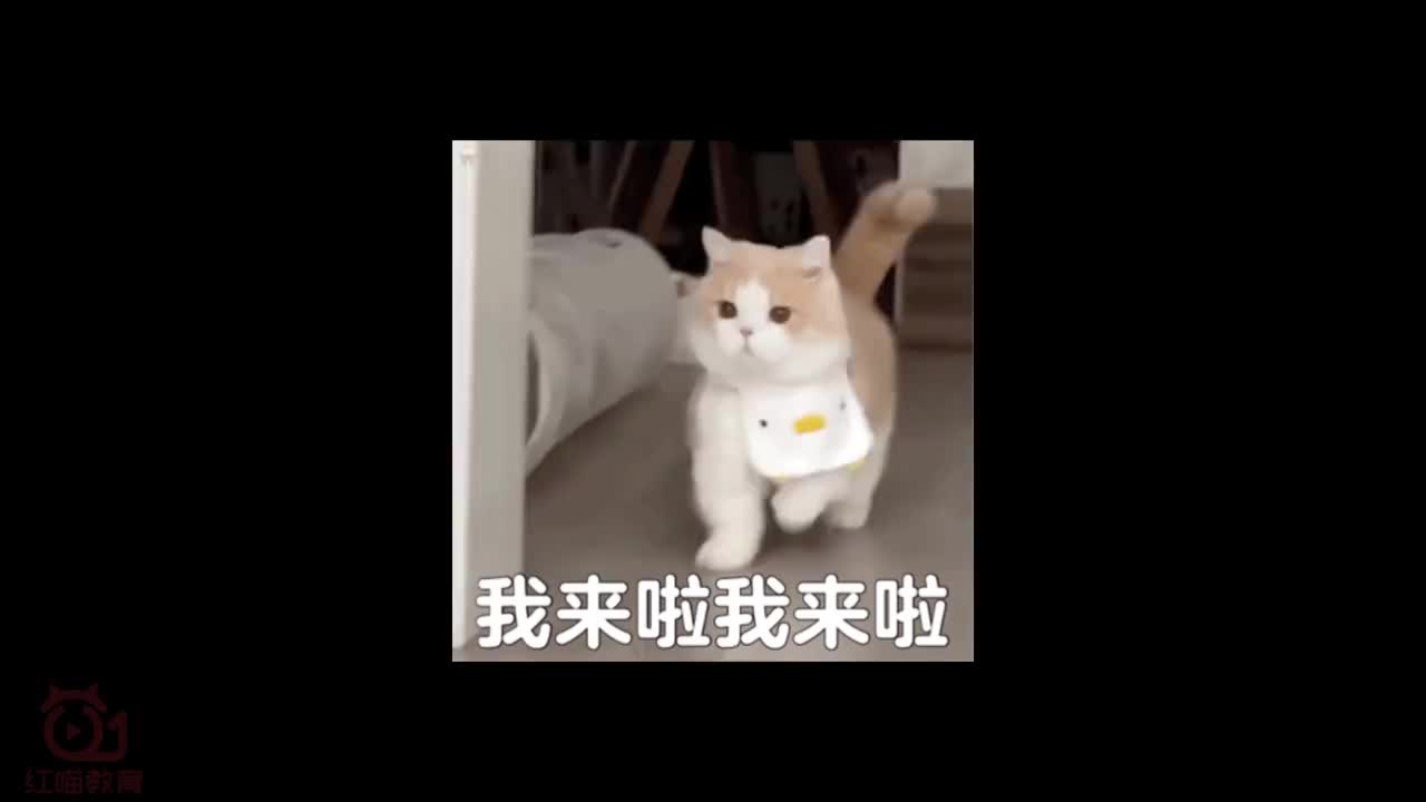 【Ai练习】放射线