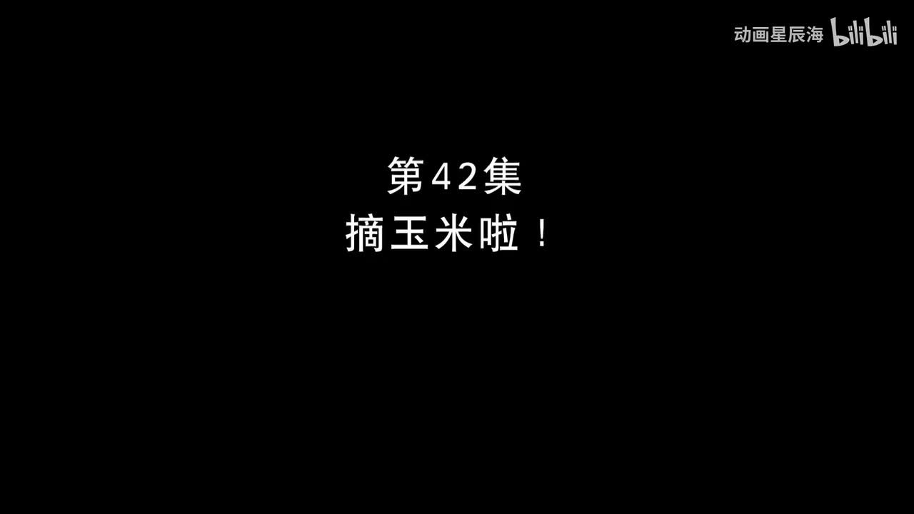 42：摘玉米啦