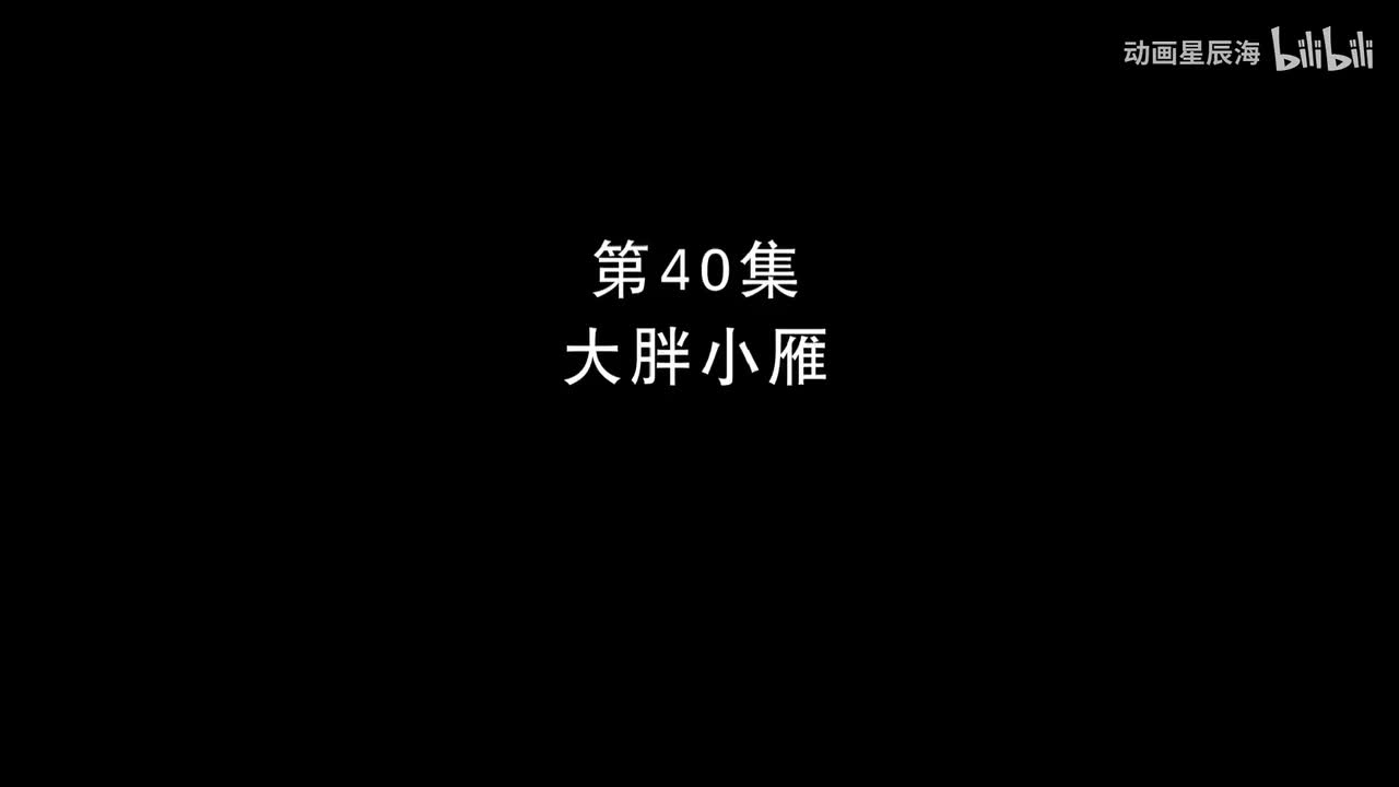 40：大胖小雁