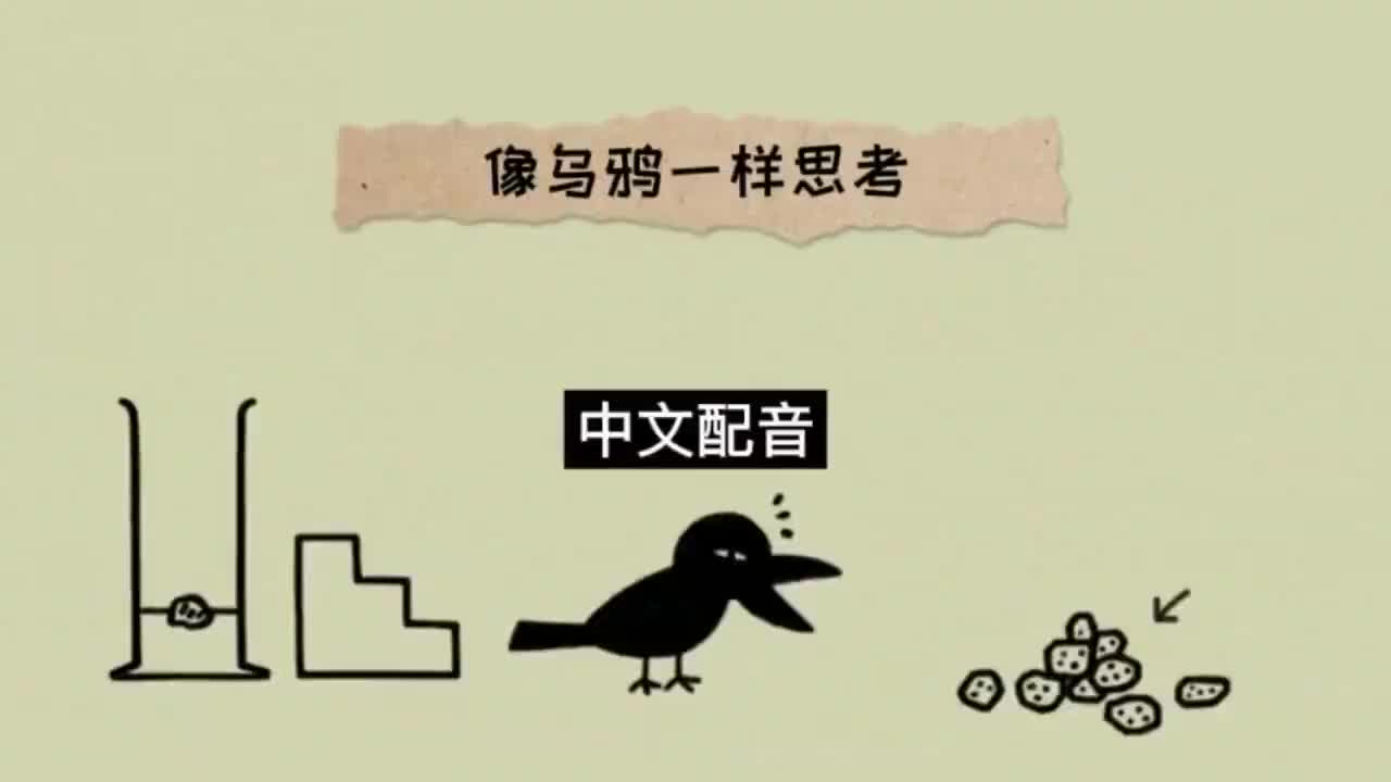 006. 中文配音 完整版《像乌鸦一样思考》 第六集