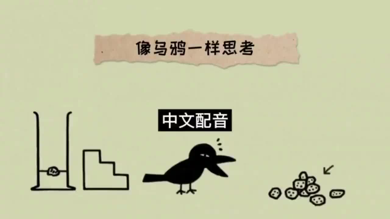 018.中文配音 完整版《像乌鸦一样思考》 第十八集