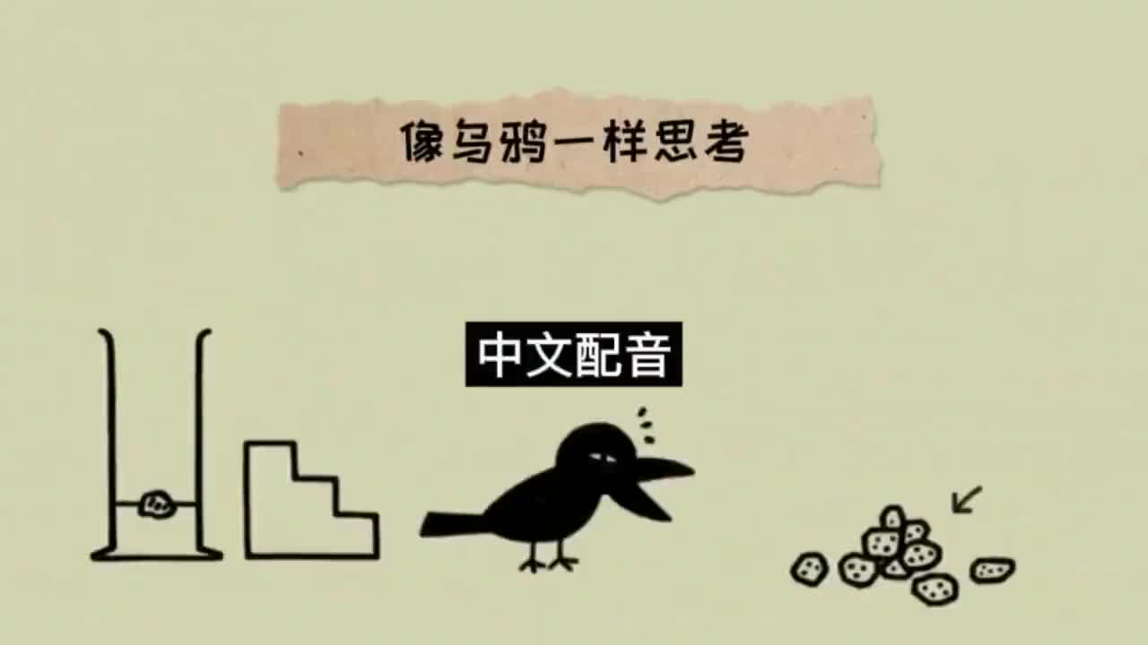 008.中文配音 完整版《像乌鸦一样思考》 第八集
