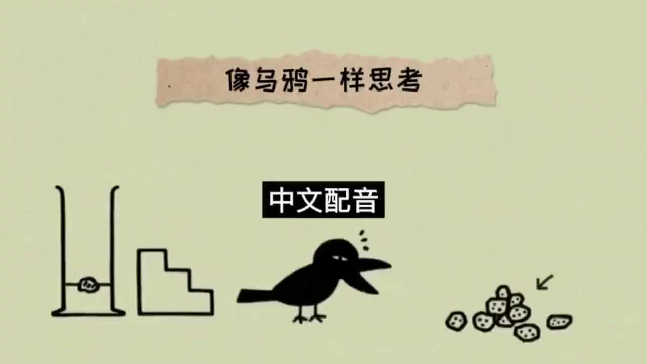 011.中文配音 完整版《像乌鸦一样思考》 第十一集