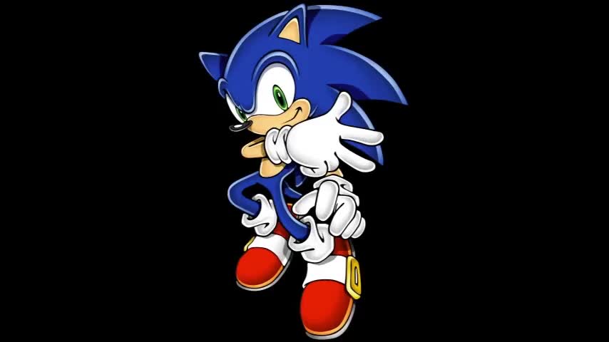 Sonic Advance 3 （进化3）