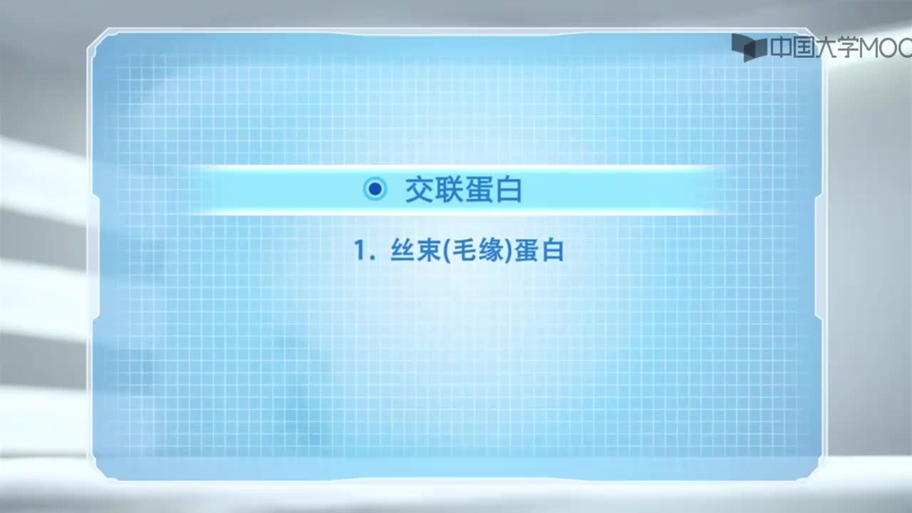 图 8-6 微丝交联蛋白与微丝的相互作用