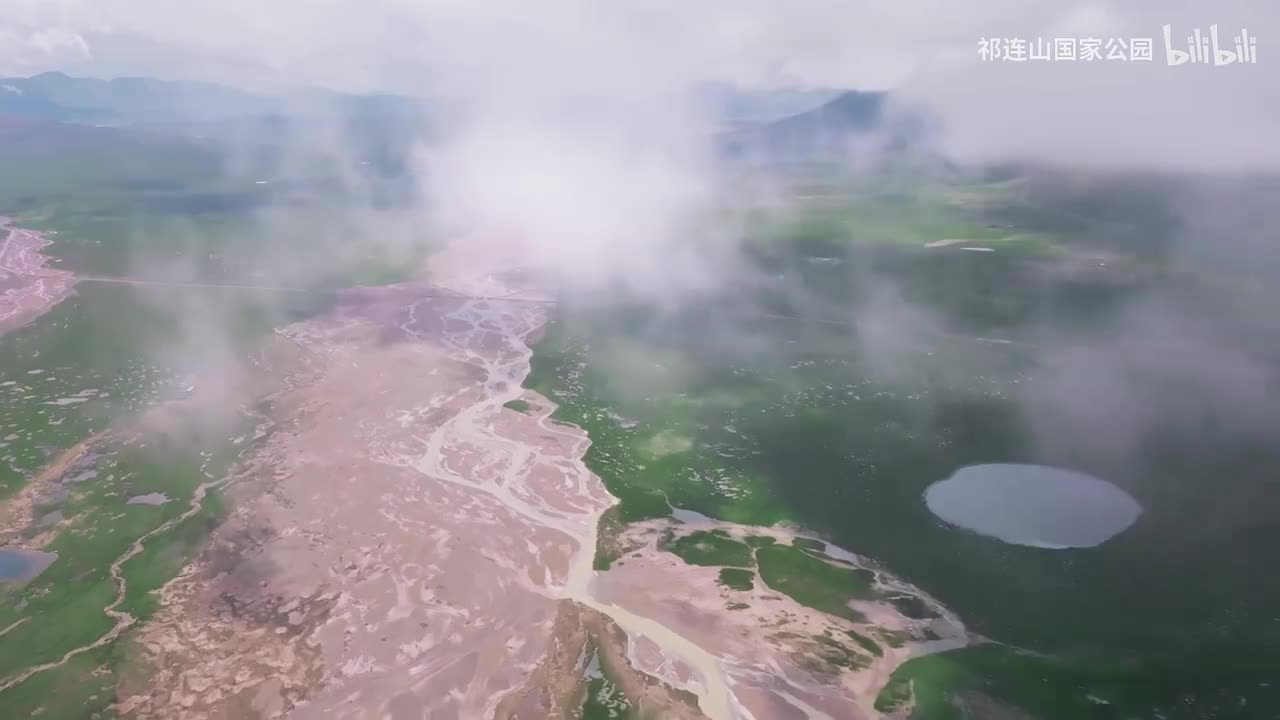 《湿地·奇妙的生命之源》上