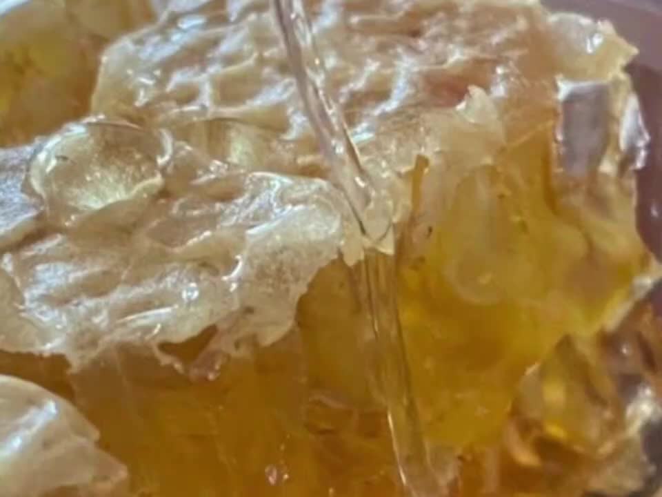 eating yummy honey comb asmr