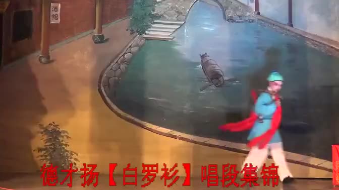 扬剧《白罗衫》唱段集锦 文红江都拍摄_高清