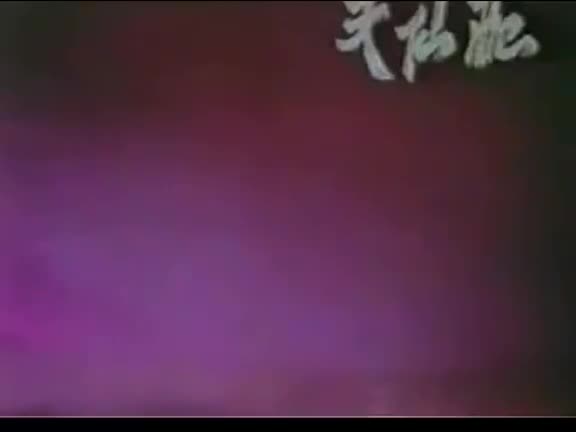 黄梅戏戏曲电影《槐荫记》（天仙配）（1963）全剧 董文霞 夏承平主演_高清