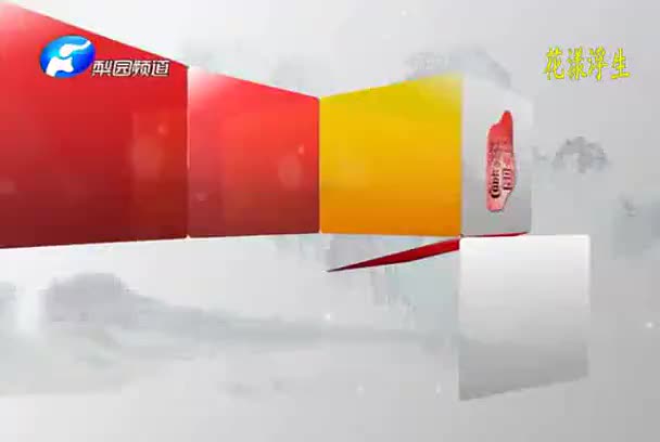 河南坠子《刘公案》15范翠霞 王建国《金姐凤英告状》刘统勋私访_高清