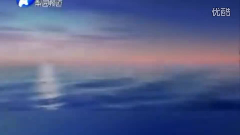 河南坠子【刘云打母】胡中花★_高清