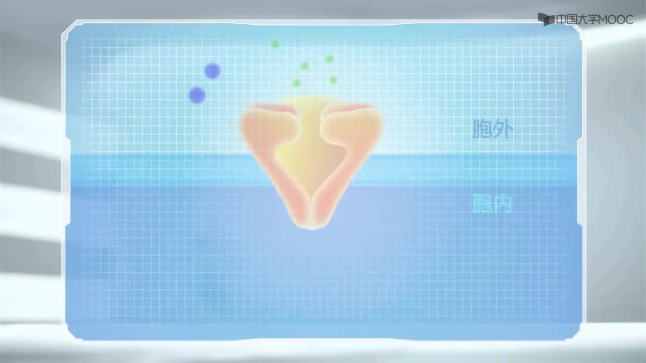 图 11-2 三种类型的细胞表面受体