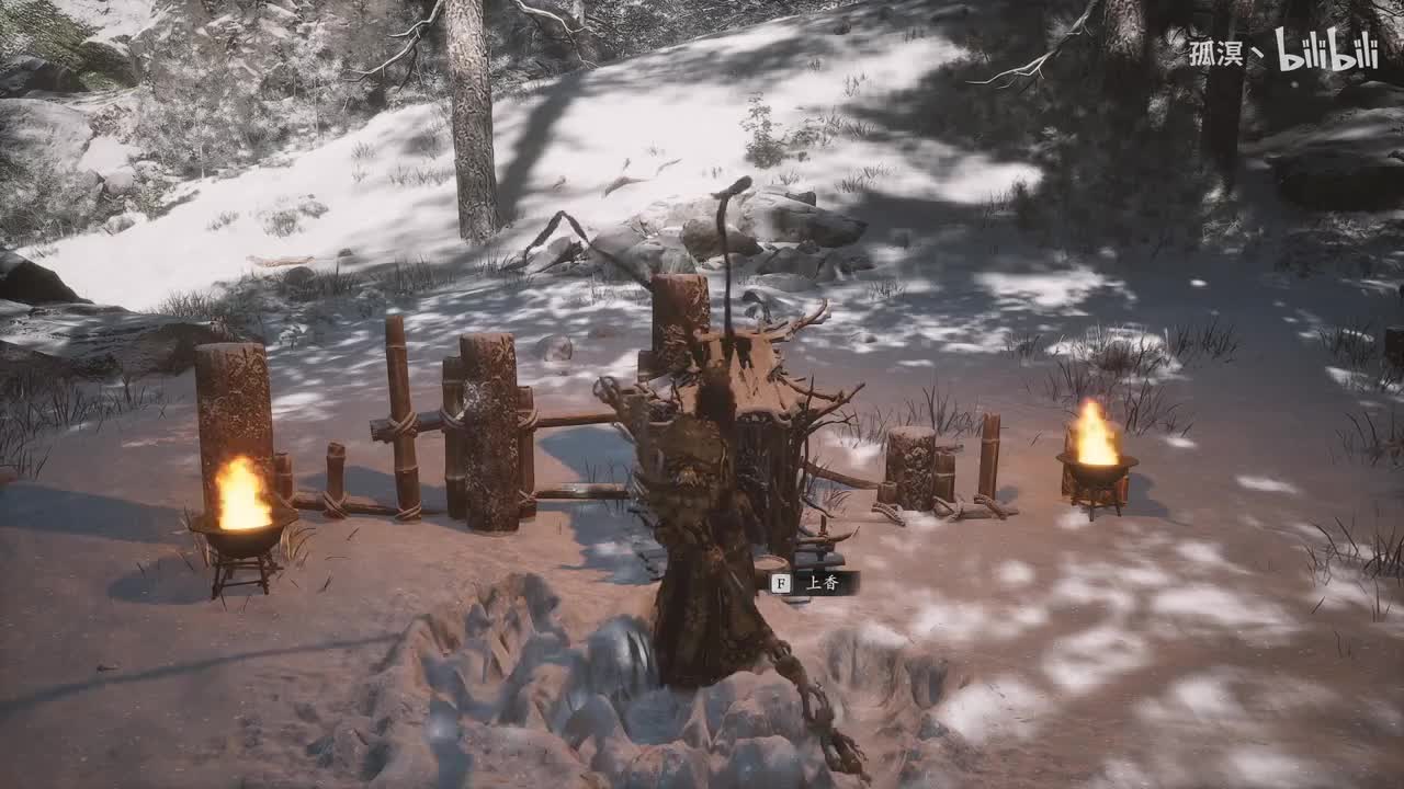 30期 收集剩余种子：火枣种子（采集概率掉落）（全成就达成）