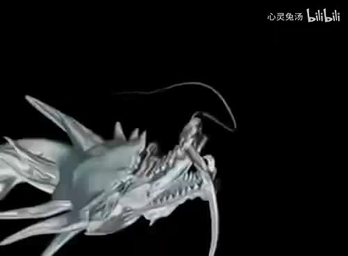 王力宏-放开你的心