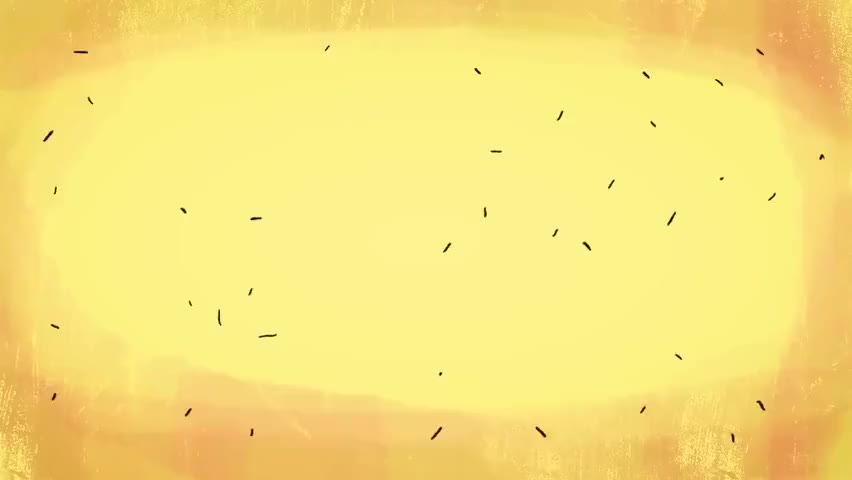 2-2-【002】虽然长得丑，但胜在心态好