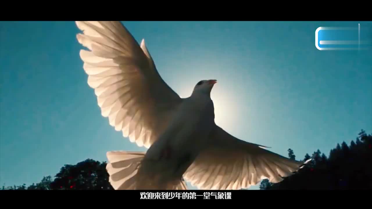 01.探空气球的自白