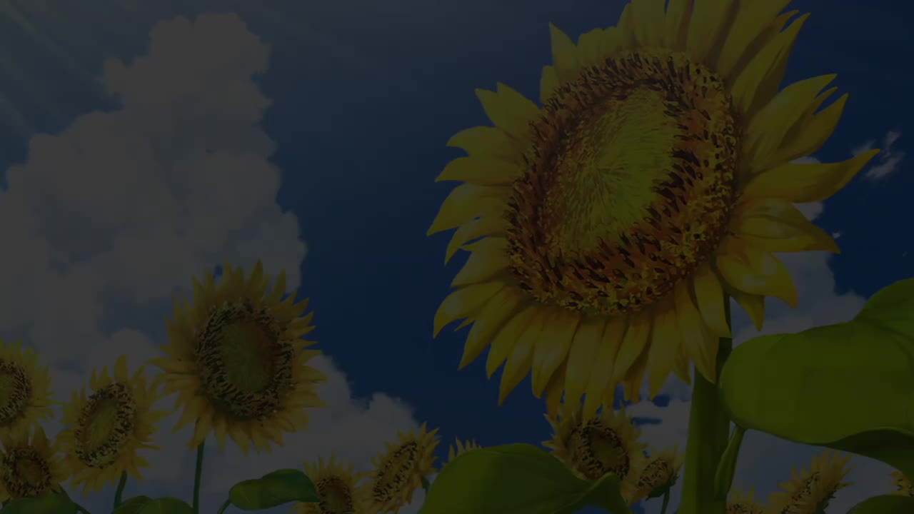 ED34: 光 / BREAKERZ