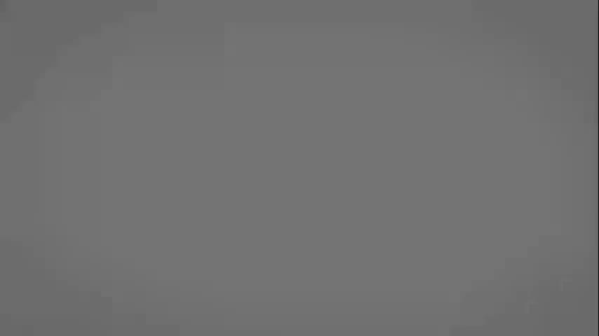 毗婆沙宗2：毗婆沙师的词义