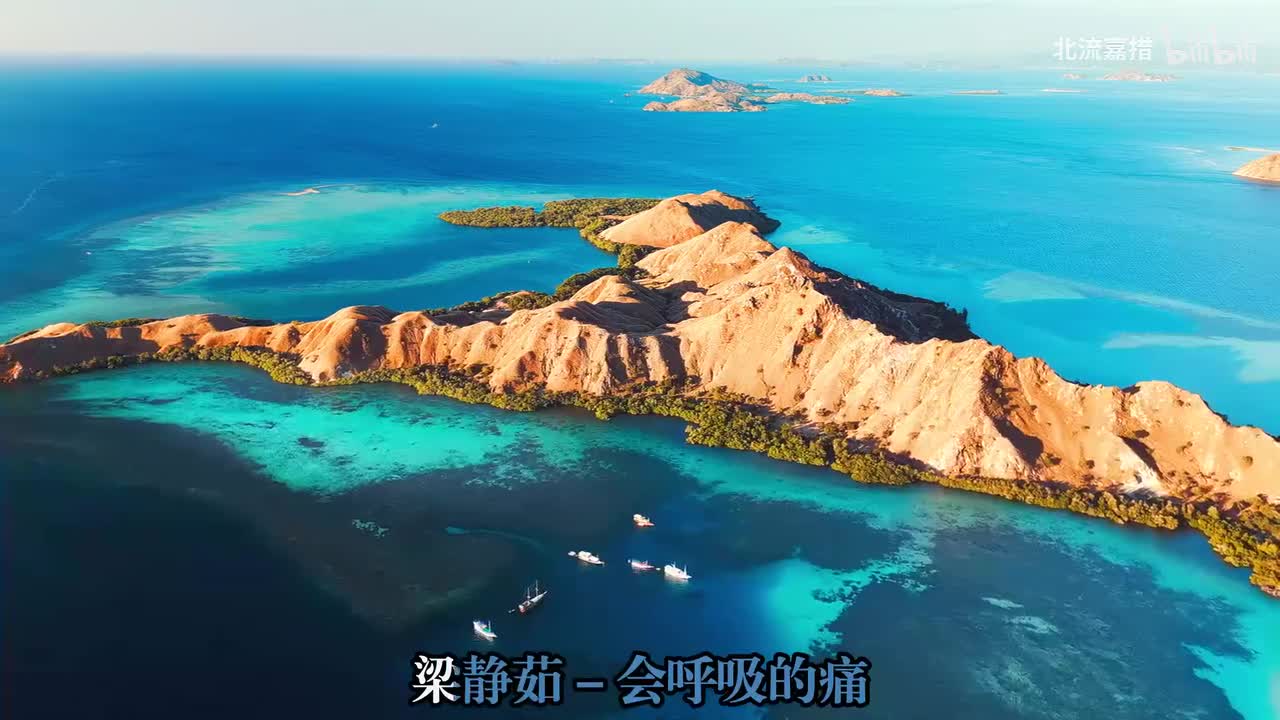 56.会呼吸的痛 - 梁静茹