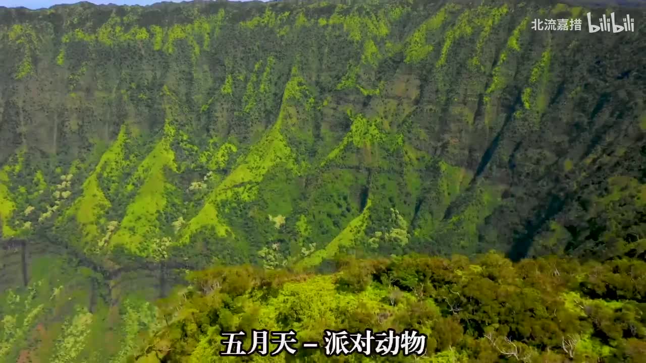 72.派对动物 - 五月天