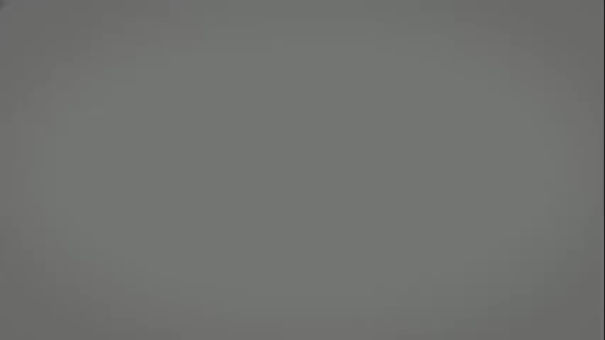 中观应成派6：应成派的特有观点（下）、量论（上）