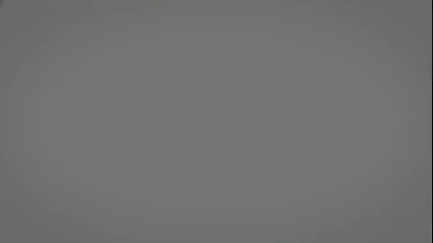 中观宗总论6：龙树、提婆的主要著作；后期中观派的分类