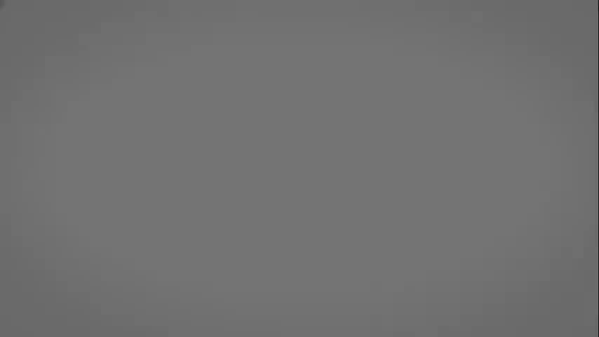 中观宗总论5：早期中观派主要人物（下）