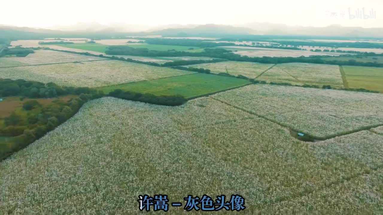 57.灰色头像 - 许嵩