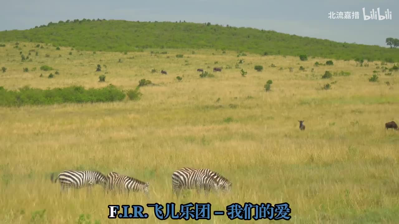 39.我们的爱 - F.I.R.飞儿乐团