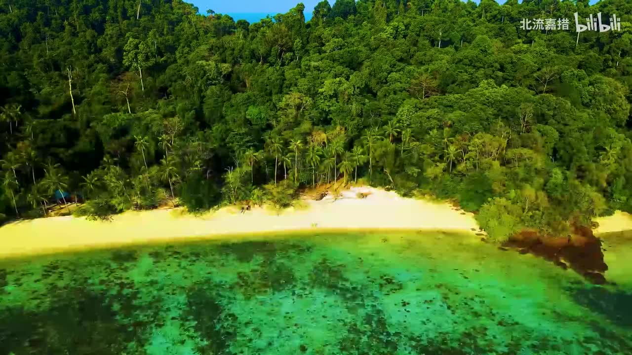 28.波斯猫 - S.H.E