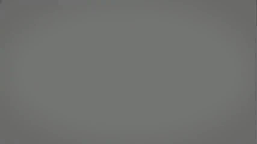 毗婆沙宗16：修道（下）—四向四果