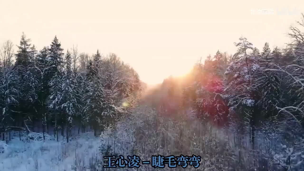 44.睫毛弯弯 - 王心凌