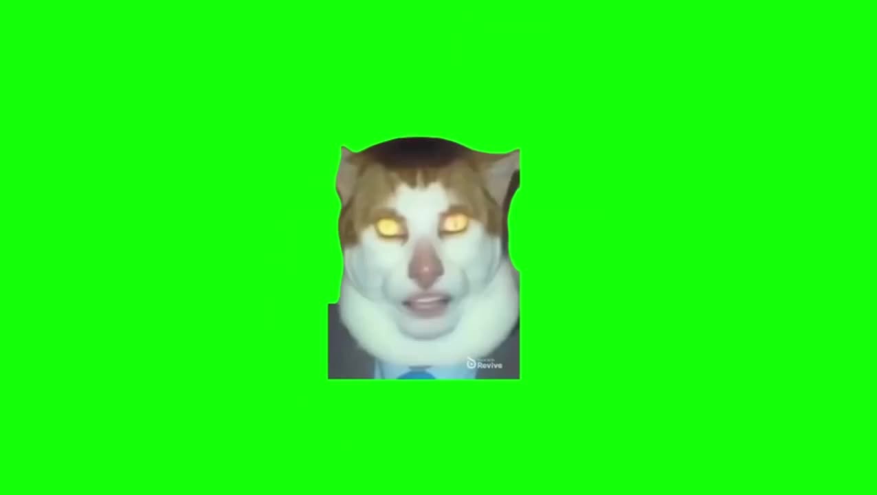 怪叫唱歌猫（有声）