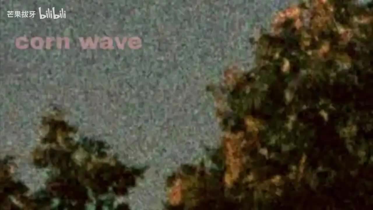 манго нектар（芒果花蜜）-无人声伴奏