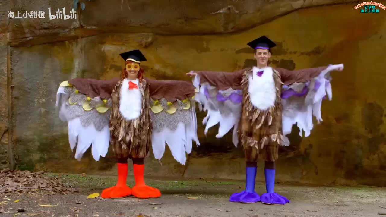 Do the Owl! Kids Dance Song The Wiggles_logo