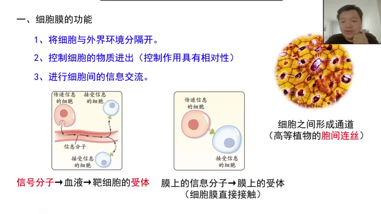 必修1第三章第1节：细胞膜（3-2）对细胞膜成分和结构的探索
