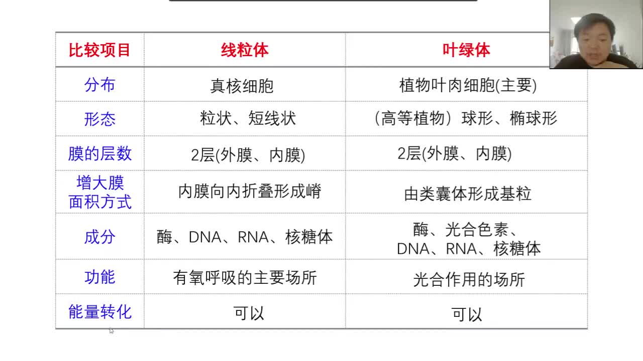 必修1第三章第2节：细胞器（6-3）核糖体、内质网、高尔基体