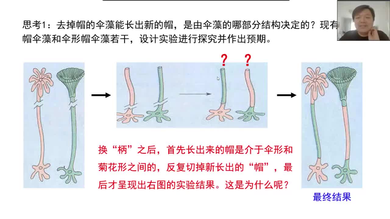 必修1第三章第3节：细胞核（3-3）什么是模型