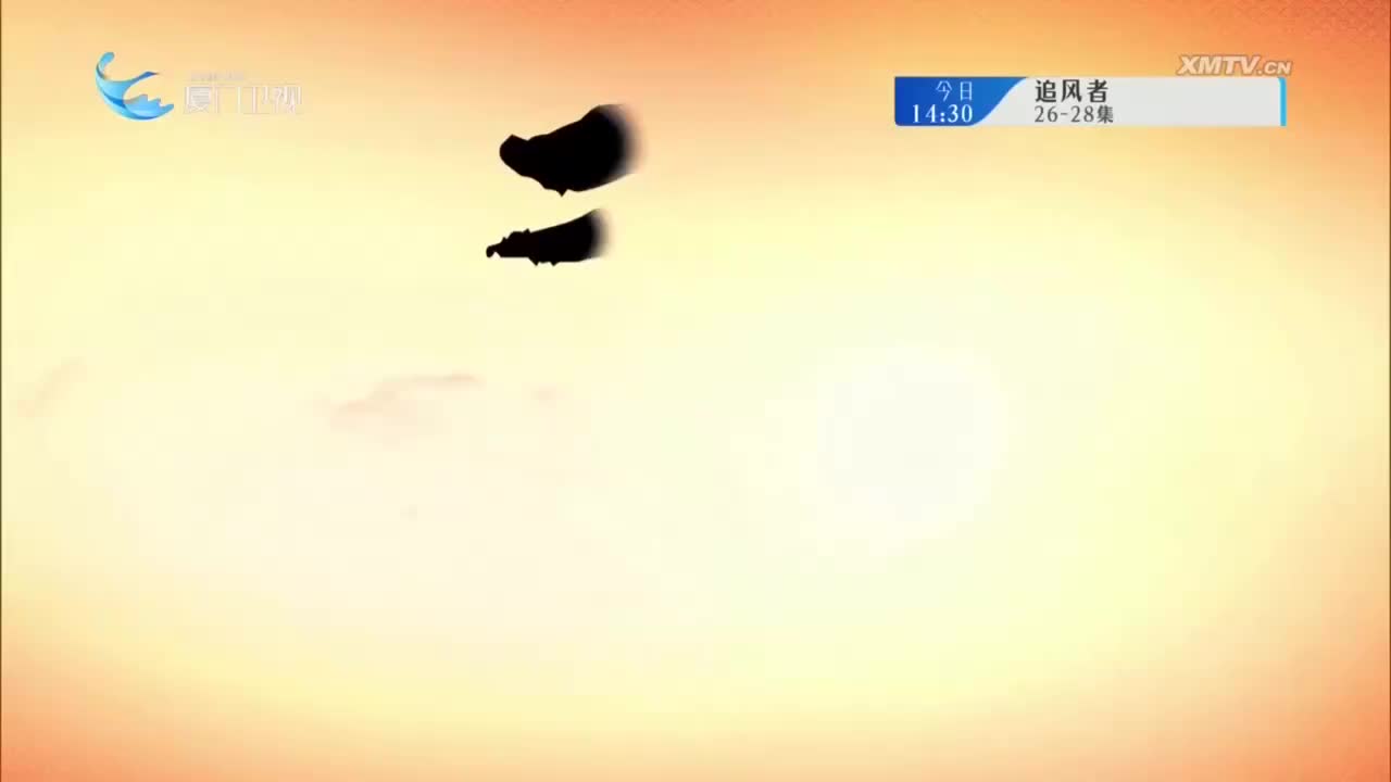 女驸马（2） 斗阵来看戏 2024.10.06 - 厦门卫视