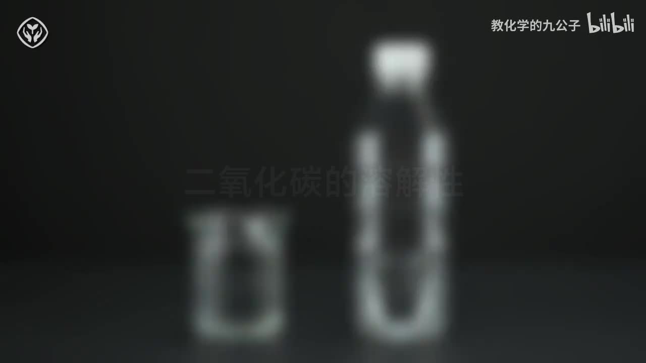 08二氧化碳的溶解性（矿泉水瓶）