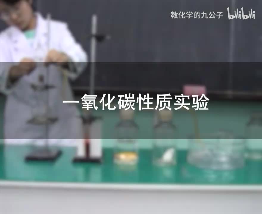 14一氧化碳毒性实验