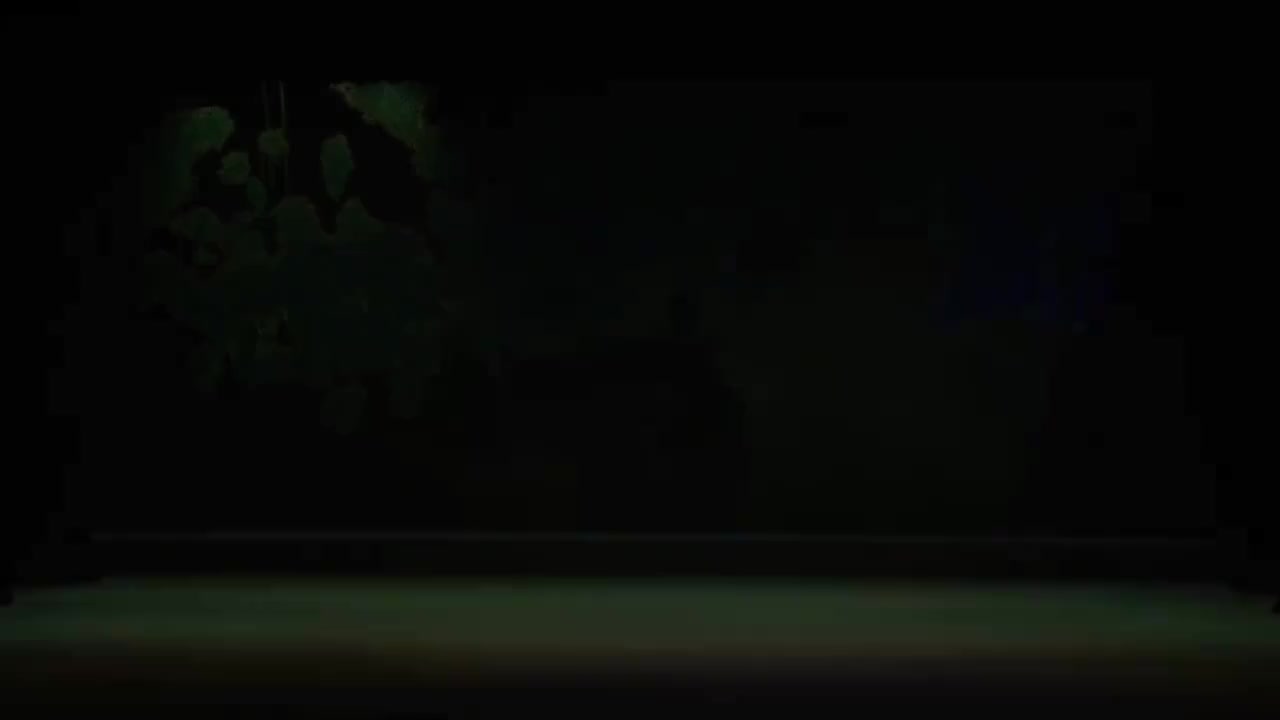 孟阳芝.秦腔《福寿镜》陕西省戏曲研究院小梅花秦腔团演出