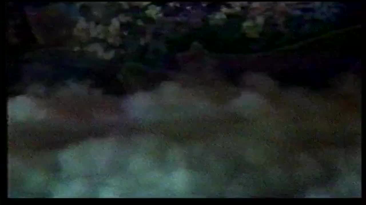 王化武张蓓杨萍.秦腔《悟空借扇》陕西省戏曲研究院演员训练班演出